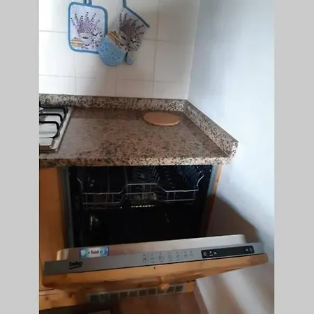 Apartment La Rondine *